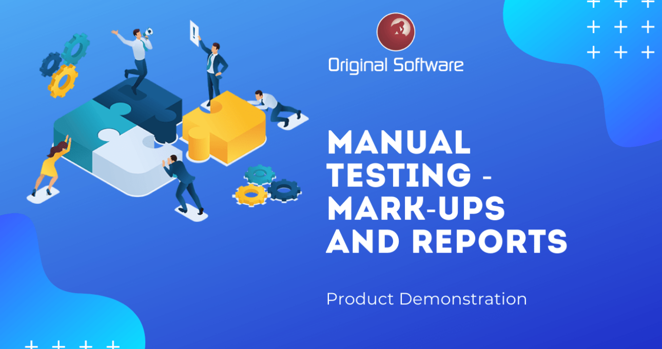 Original-Software-Manual Testing - mark-ups and reports-video-image